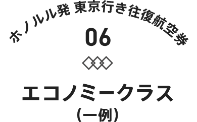 パリ発 東京行き往復航空券01 エコノミークラス(一例)