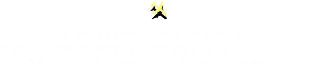アメリカ国内線はサウスウエスト航空(WN),ジェットブルー(B6)などのローコストキャリア(LCC)リマからクスコ行きラン航空(LA)の航空券、ラパスからウユニ塩湖行きアマゾナス(Z8)航空券の手配、ブラジル国内であればゴル航空(G3)、タム航空(JJ)などご手配可能です。